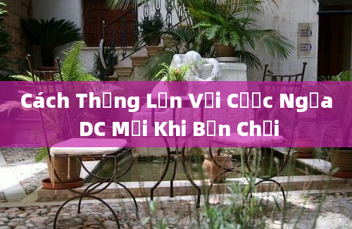 Cách Thắng Lớn Với Cược Ngựa DC Mỗi Khi Bạn Chơi