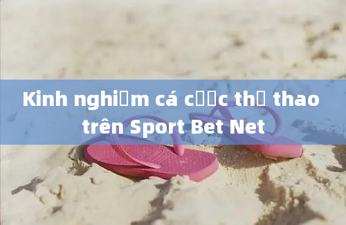 Kinh nghiệm cá cược thể thao trên Sport Bet Net