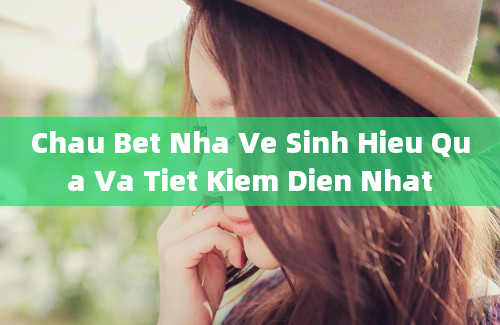 Chau Bet Nha Ve Sinh Hieu Qua Va Tiet Kiem Dien Nhat