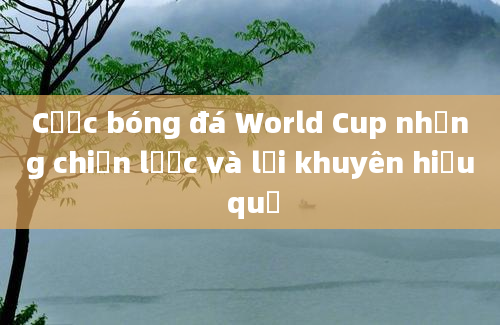 Cược bóng đá World Cup những chiến lược và lời khuyên hiệu quả