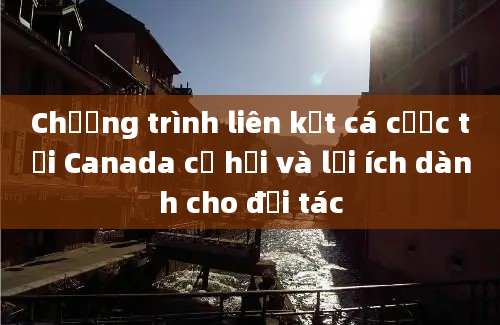 Chương trình liên kết cá cược tại Canada cơ hội và lợi ích dành cho đối tác