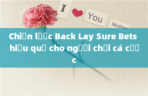 Chiến lược Back Lay Sure Bets hiệu quả cho người chơi cá cược