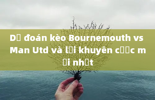 Dự đoán kèo Bournemouth vs Man Utd và lời khuyên cược mới nhất