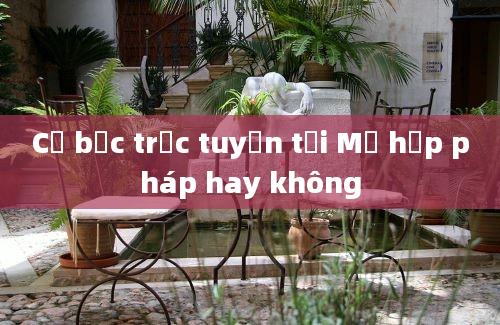 Cờ bạc trực tuyến tại Mỹ hợp pháp hay không