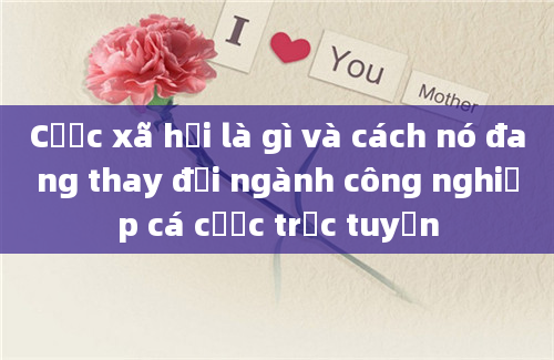 Cược xã hội là gì và cách nó đang thay đổi ngành công nghiệp cá cược trực tuyến