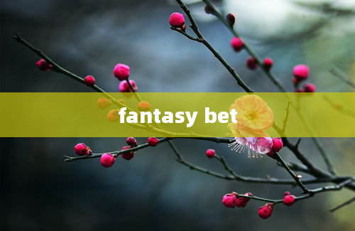 fantasy bet