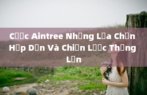 Cược Aintree Những Lựa Chọn Hấp Dẫn Và Chiến Lược Thắng Lớn