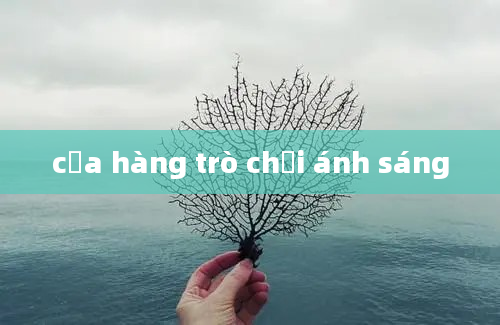 cửa hàng trò chơi ánh sáng