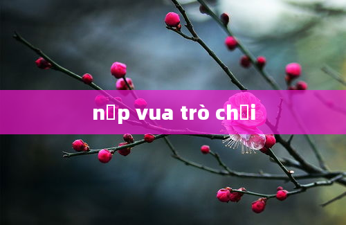 nạp vua trò chơi