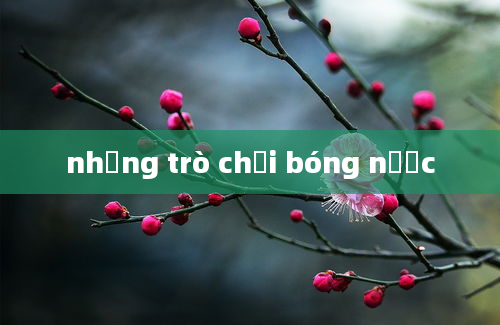 những trò chơi bóng nước