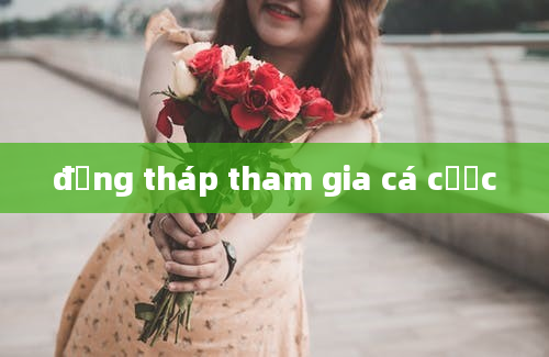 đồng tháp tham gia cá cược