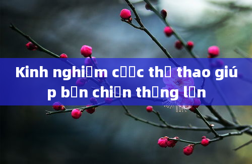 Kinh nghiệm cược thể thao giúp bạn chiến thắng lớn