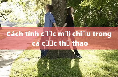 Cách tính cược mỗi chiều trong cá cược thể thao