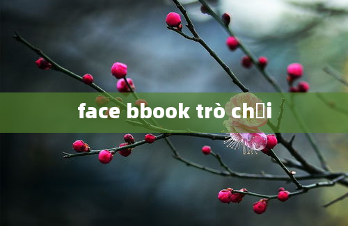 face bbook trò chơi