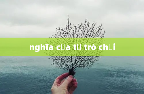 nghĩa của từ trò chơi