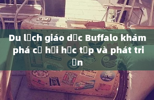 Du lịch giáo dục Buffalo khám phá cơ hội học tập và phát triển