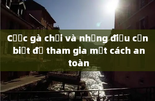 Cược gà chọi và những điều cần biết để tham gia một cách an toàn