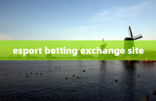 esport betting exchange site