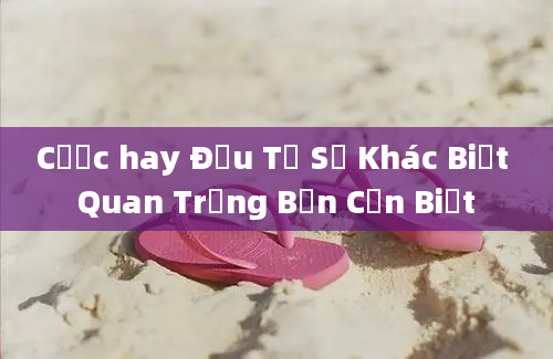 Cược hay Đầu Tư Sự Khác Biệt Quan Trọng Bạn Cần Biết