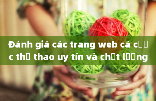 Đánh giá các trang web cá cược thể thao uy tín và chất lượng