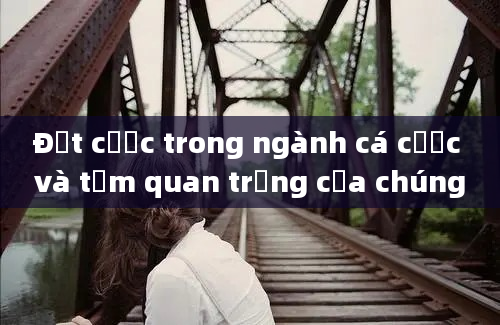 Đặt cược trong ngành cá cược và tầm quan trọng của chúng