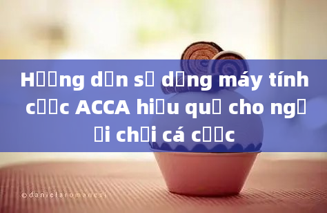 Hướng dẫn sử dụng máy tính cược ACCA hiệu quả cho người chơi cá cược