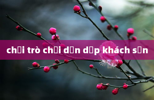 chơi trò chơi dọn dẹp khách sạn