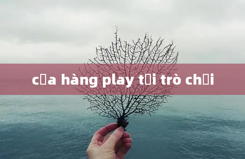 cửa hàng play tải trò chơi