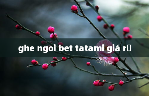 ghe ngoi bet tatami giá rẻ