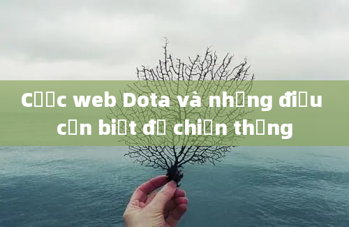 Cược web Dota và những điều cần biết để chiến thắng