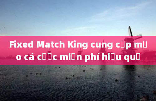 Fixed Match King cung cấp mẹo cá cược miễn phí hiệu quả