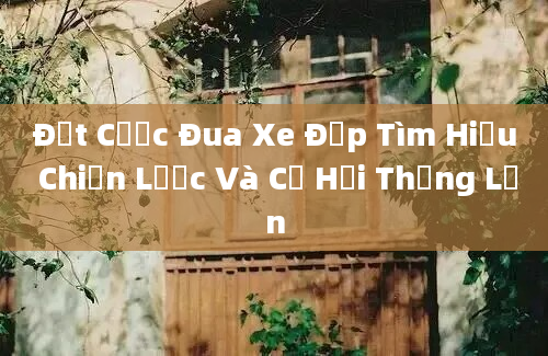 Đặt Cược Đua Xe Đạp Tìm Hiểu Chiến Lược Và Cơ Hội Thắng Lớn