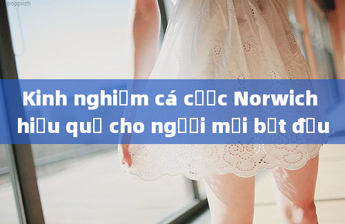 Kinh nghiệm cá cược Norwich hiệu quả cho người mới bắt đầu