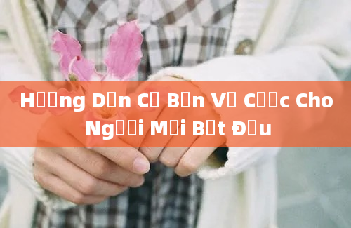 Hướng Dẫn Cơ Bản Về Cược Cho Người Mới Bắt Đầu