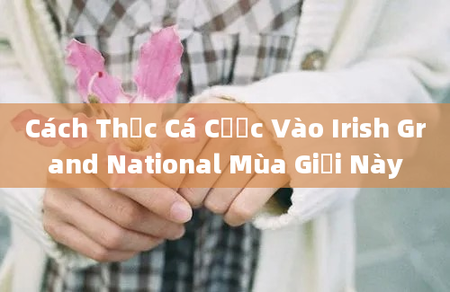 Cách Thức Cá Cược Vào Irish Grand National Mùa Giải Này