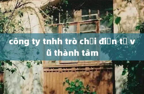 công ty tnhh trò chơi điện tử vũ thành tâm