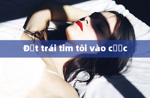 Đặt trái tim tôi vào cược