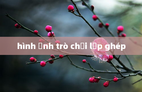 hình ảnh trò chơi lắp ghép