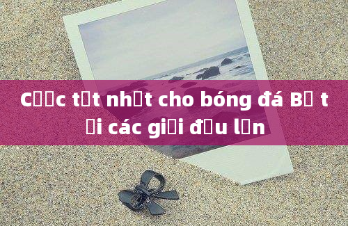 Cược tốt nhất cho bóng đá Bỉ tại các giải đấu lớn