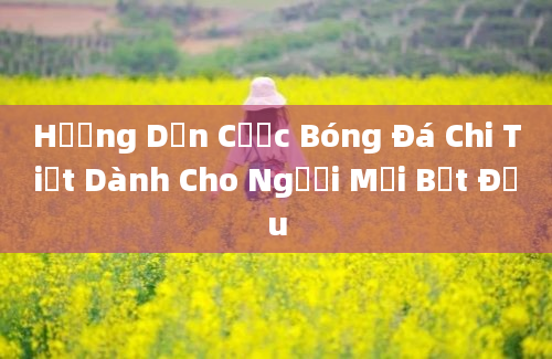 Hướng Dẫn Cược Bóng Đá Chi Tiết Dành Cho Người Mới Bắt Đầu