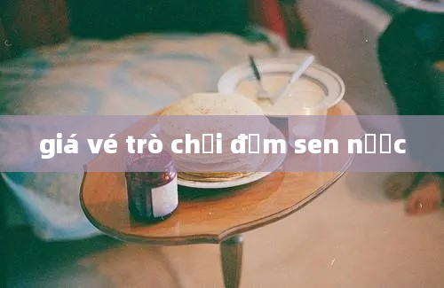 giá vé trò chơi đầm sen nước