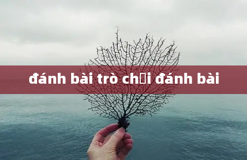 đánh bài trò chơi đánh bài