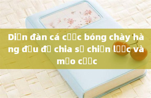 Diễn đàn cá cược bóng chày hàng đầu để chia sẻ chiến lược và mẹo cược