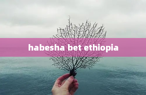 habesha bet ethiopia