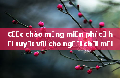 Cược chào mừng miễn phí cơ hội tuyệt vời cho người chơi mới