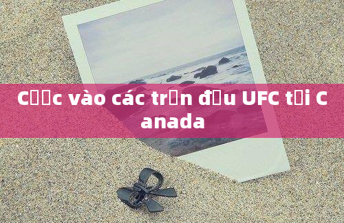 Cược vào các trận đấu UFC tại Canada