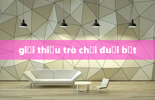 giới thiệu trò chơi đuổi bắt