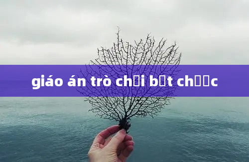 giáo án trò chơi bắt chước