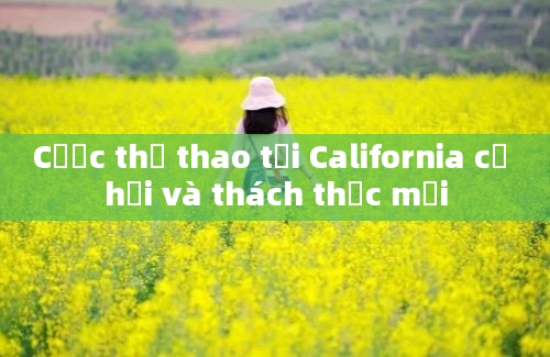 Cược thể thao tại California cơ hội và thách thức mới