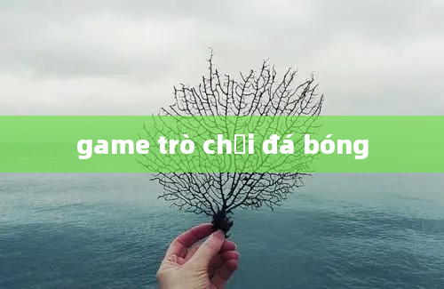 game trò chơi đá bóng